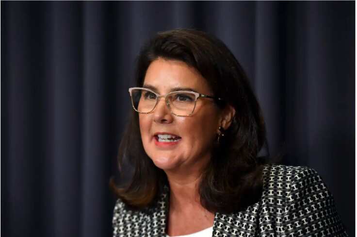 Minister for Superannuation Jane Hume says the super home-buyer scheme will result in a “bump” in housing prices. 