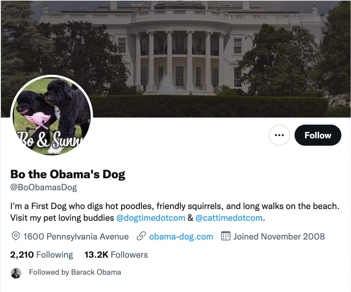 A screenshot of the Obama dog Twitter account which is followed by former US president Barack Obama.