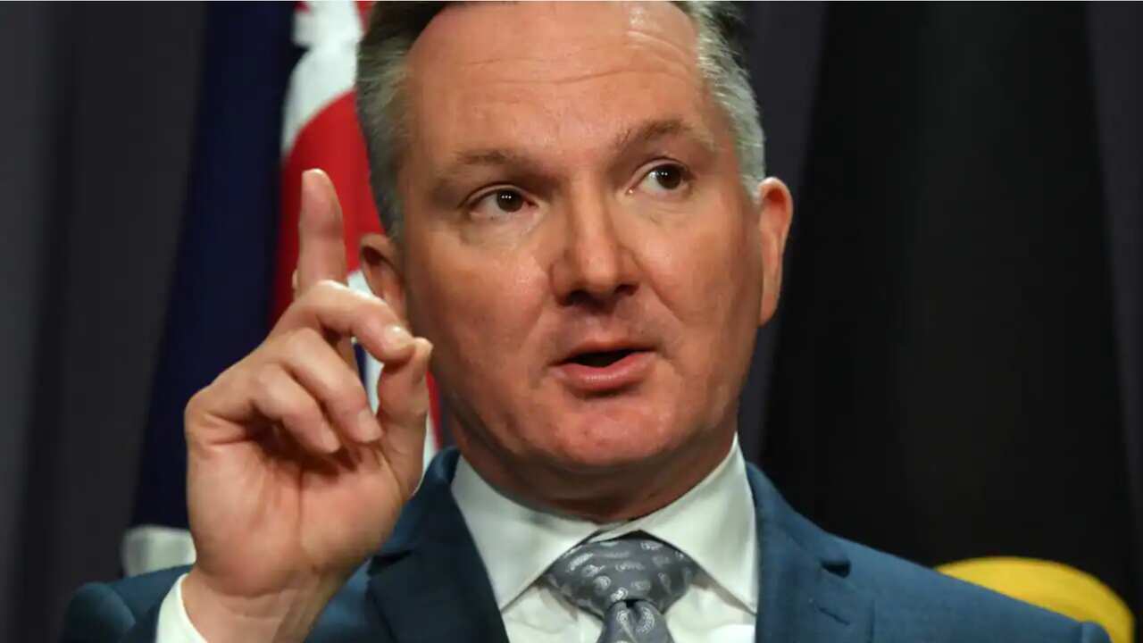 Energy Minister Chris Bowen is urging natural gas companies to do the right thing by consumers and bring down electricity prices.