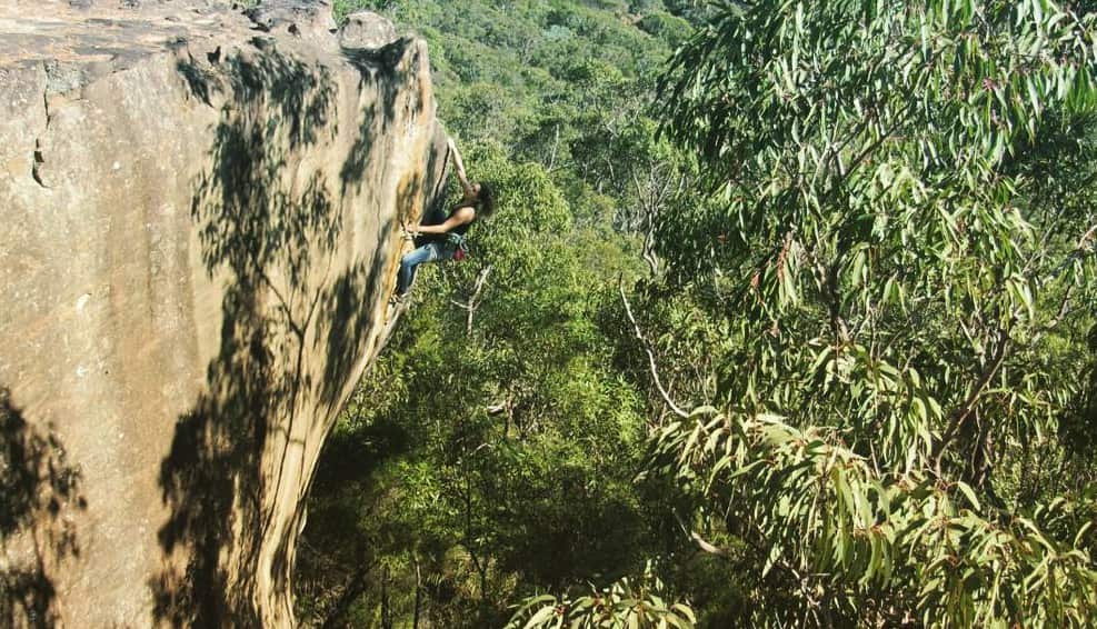 خانم تلما قیم 