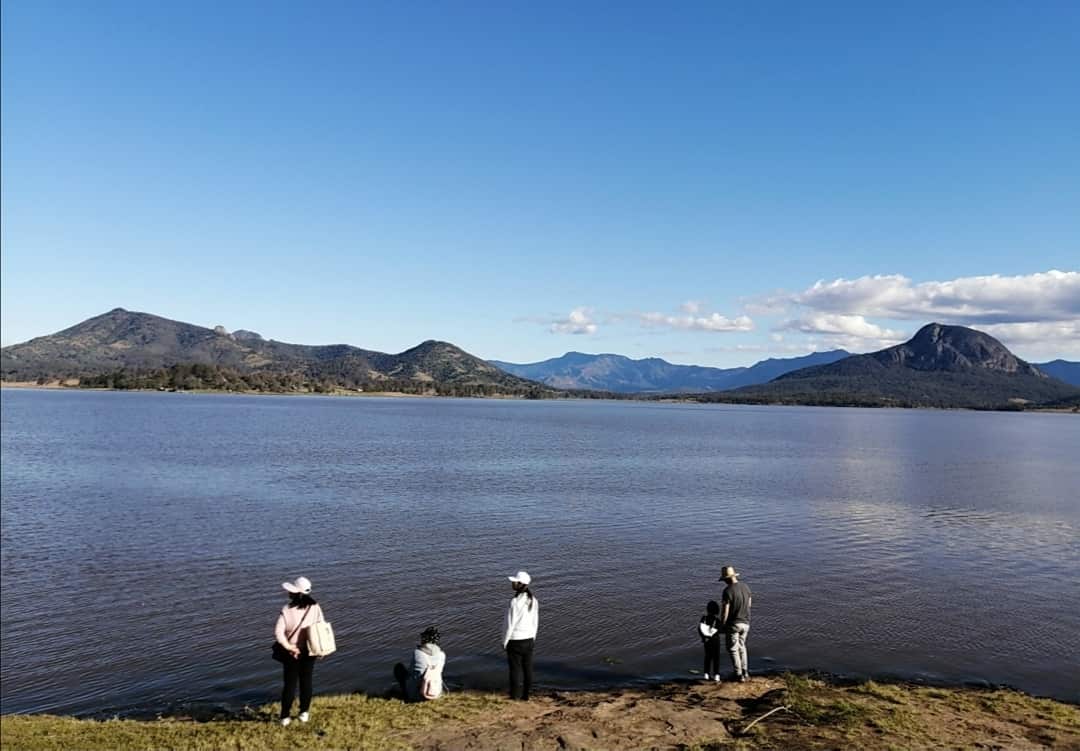 林詠如（Ollie）在九個月前創立名為「澳洲布村心健行」的免費活動，以「邊行邊傾（Walk and Talk)」的方式助新移民融入社區。