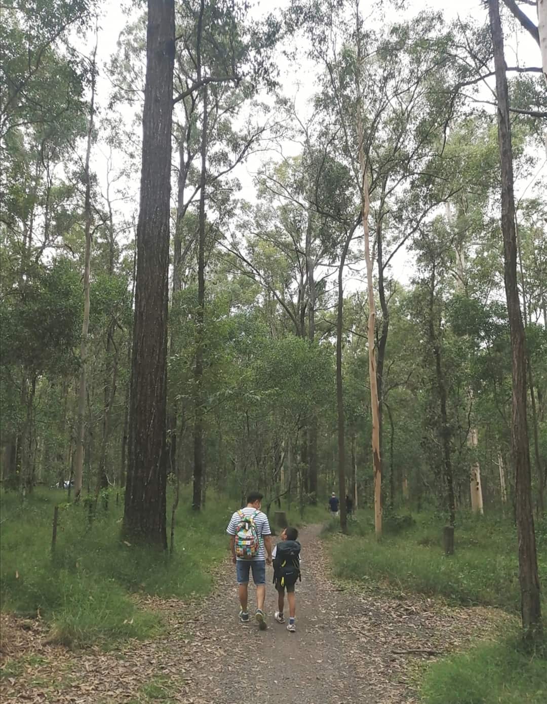 Ollie’s Walk and Talk program