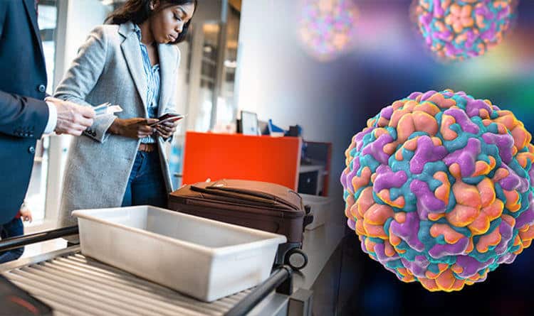 Airport security trays 