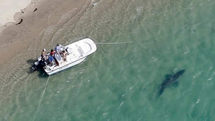 A man remains in a Queensland hospital after being attacked by a shark in the Whitsundays.