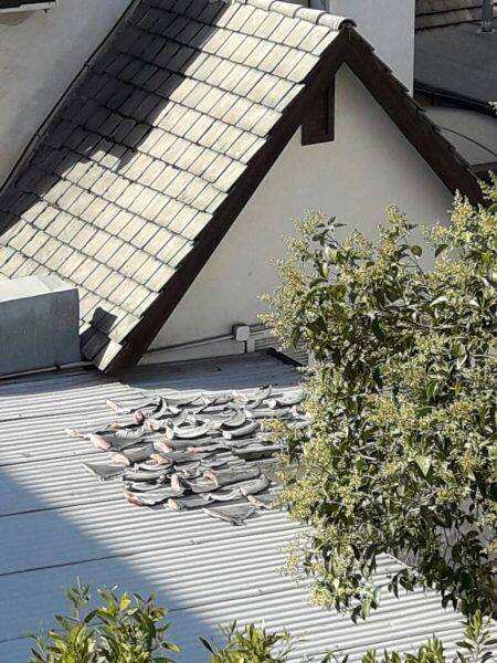 Shark fins on the Vietnamese embassy's roof