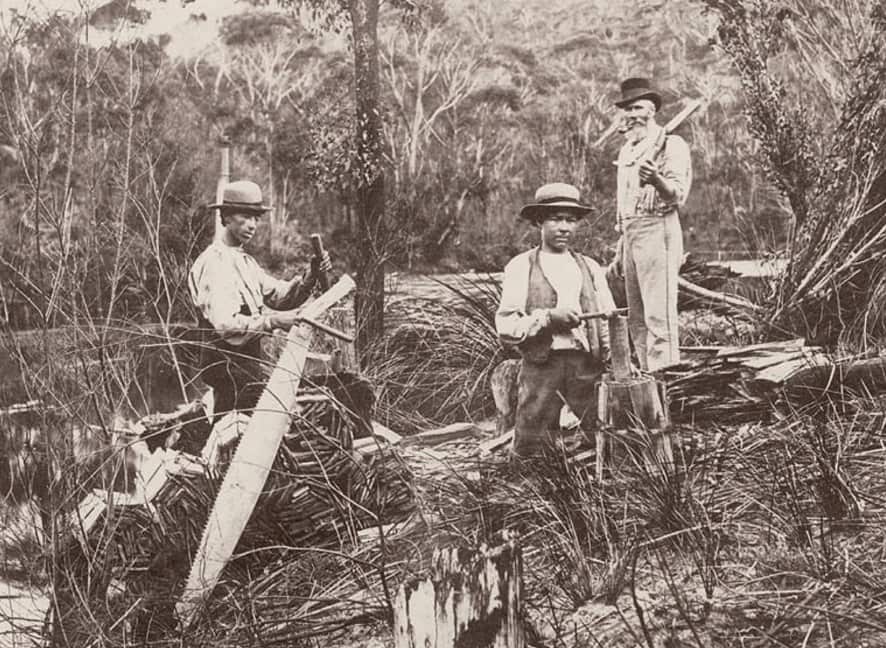 white settlement in Australia