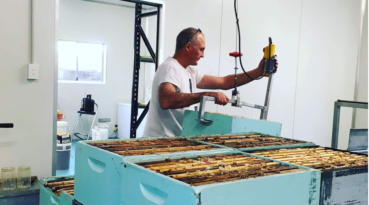 Simon extracted honey.