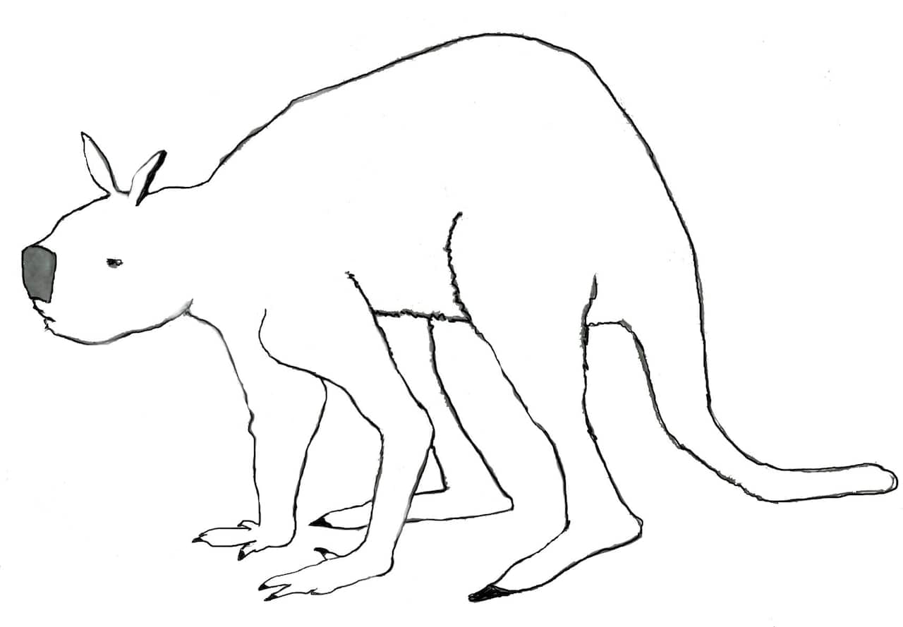 Simosthenurus (canguro gigante estinto) 