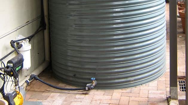 PIMP MY PLANTS - WATER TANK