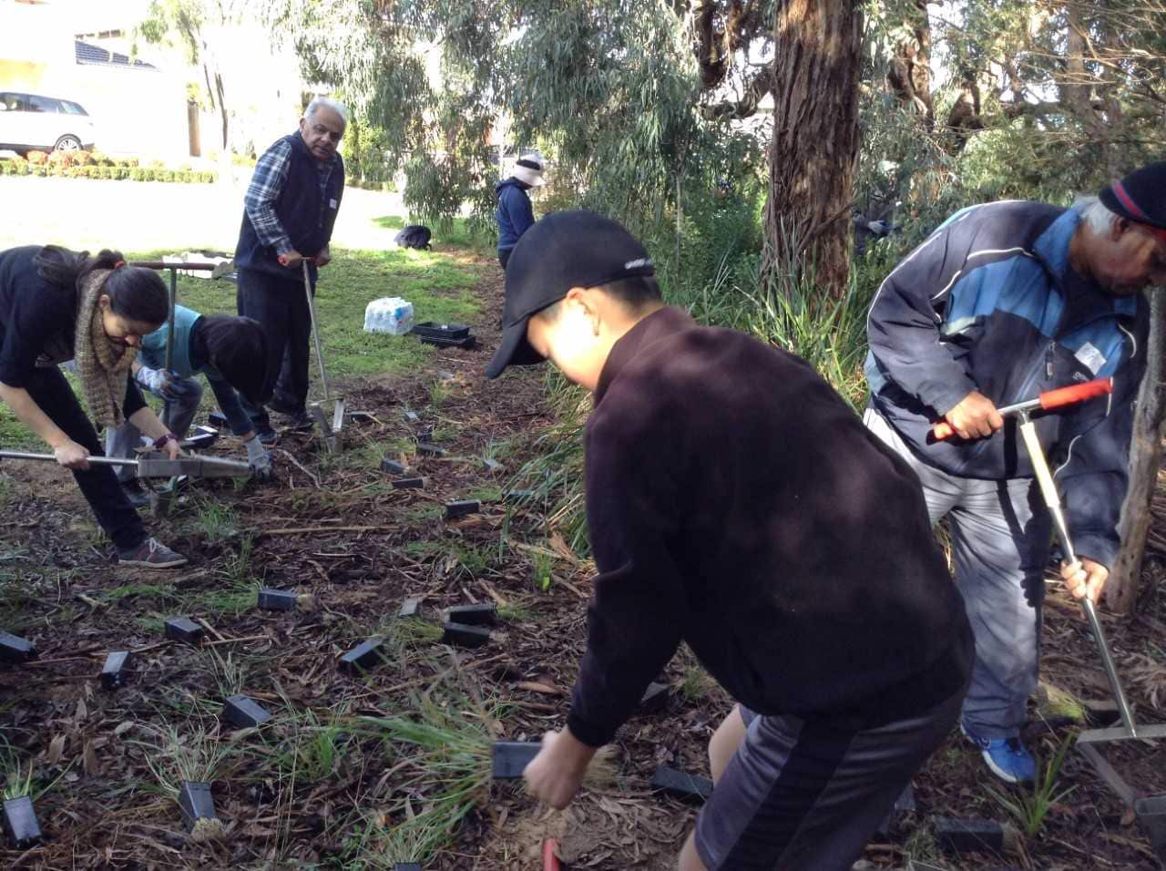 Shashi Kochar leading a cleaning campaign during Clean Up Australia Day
