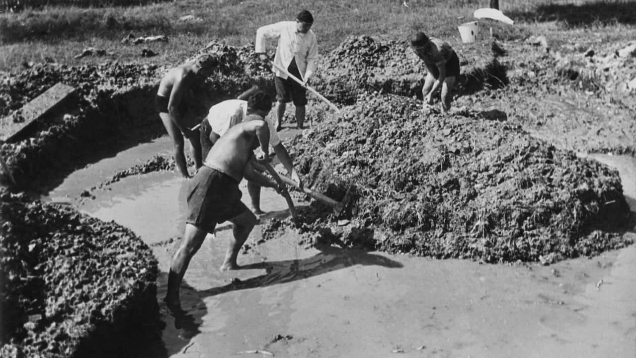 Slave workers in WWII Germany