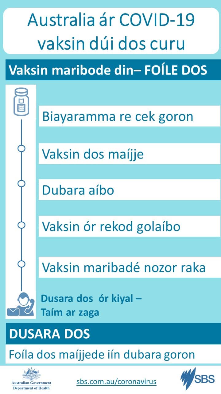 Vaksin