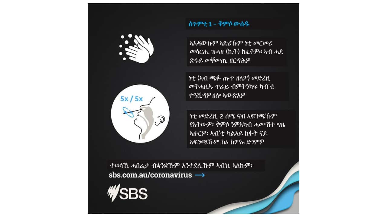 ቀዳማይ ስጉምቲ