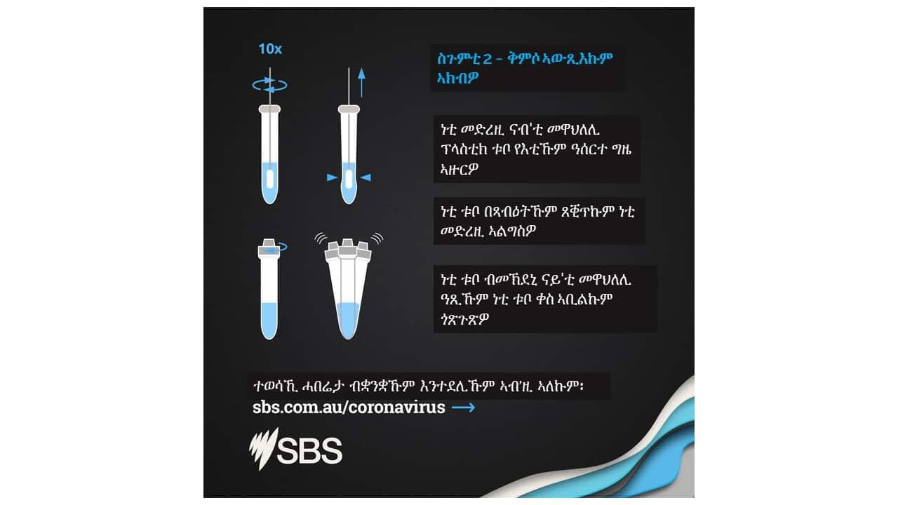 ካልኣይ ስጉምቲ