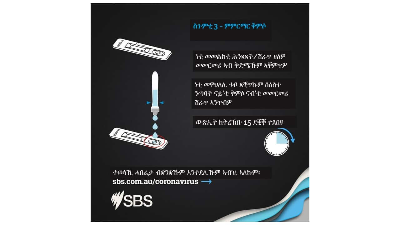 ሳልሳይ ስጉምቲ