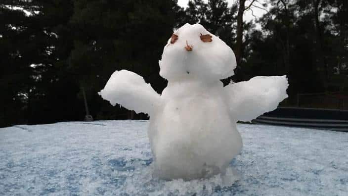  Image from the Bureau of Meteorology Victoria of snow at Ferny Creek (Twitter) 