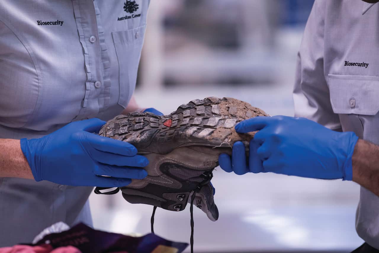 Melbourne airport biosecurity compliance 