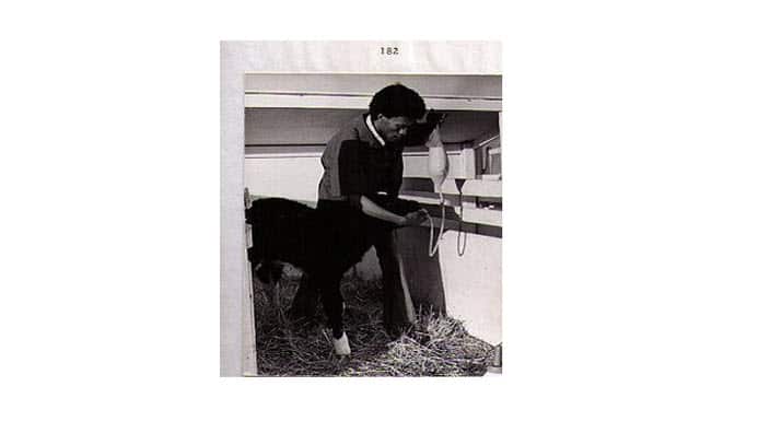 Life and Legacy: Dr Aberra Molla - Pt 1