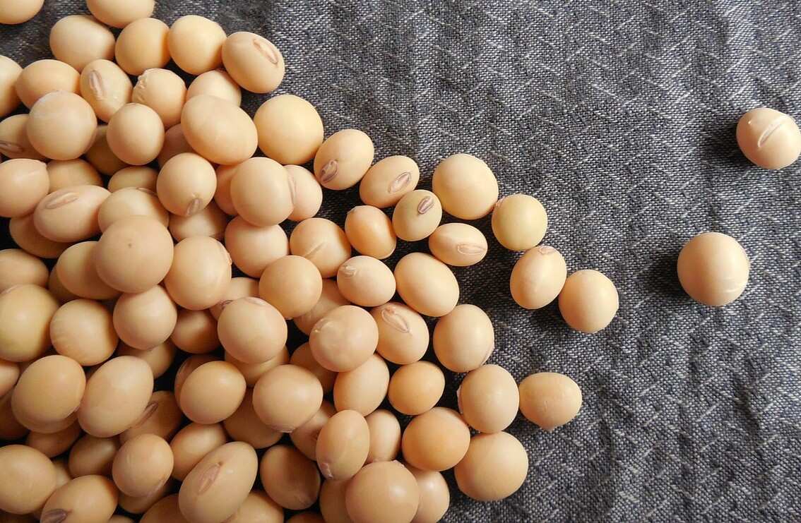 the genetic modification of soy have been on the increase amongst health and environmentally conscious consumers.