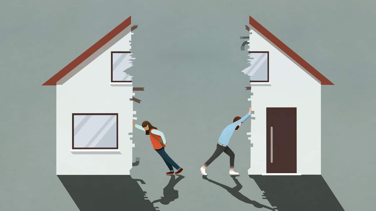 Split House