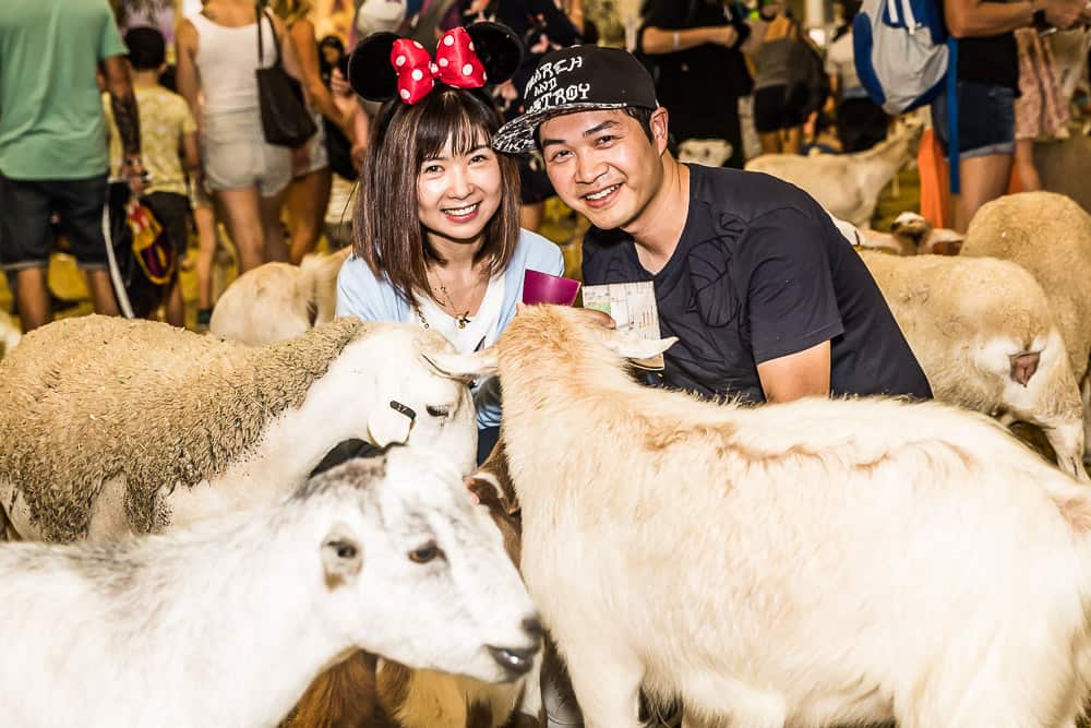 Sydney Royal Easter Show