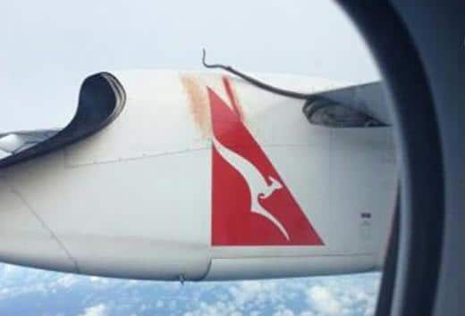 The airline had to cancel two flights due to snakes on one of its planes.