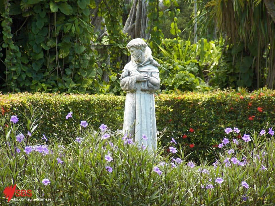 Saint Francis of Assisi