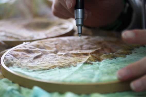 Stand up and stand out