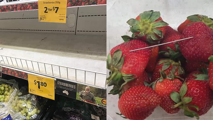 strawberries  needles