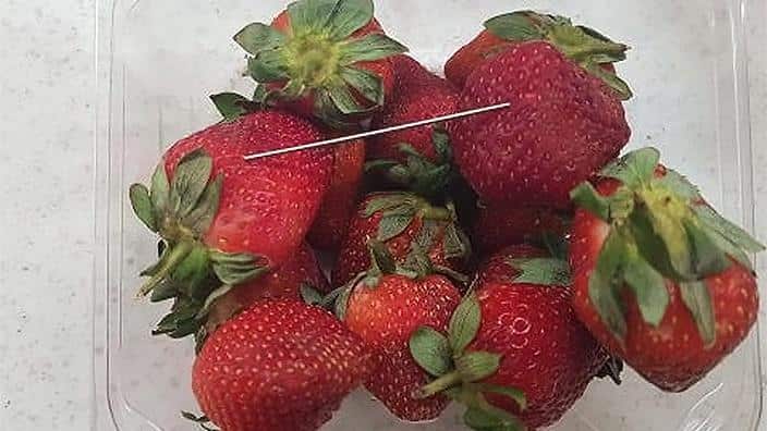 strawberry needle saga