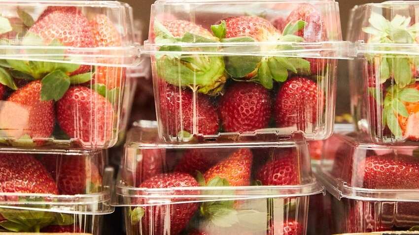 strawberry needle saga