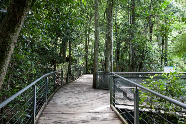 Scenic World