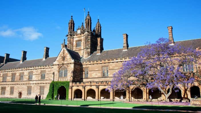 Sydney uni with jacaranda