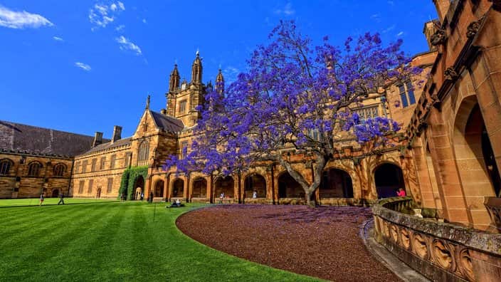 The University of Sydney