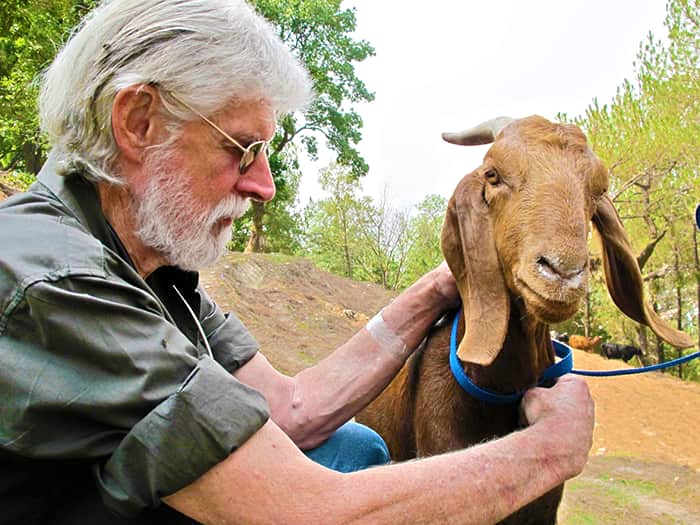 Sydney Veterinarian Dr Howard Ralph tenders a goat in Nepal