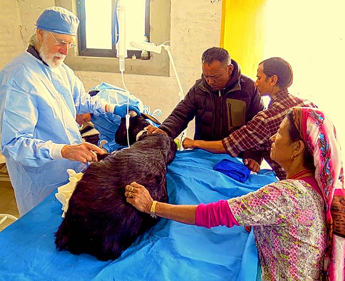 Sydney Veterinarian Dr Howard Ralph at a clinic in Kathmandu