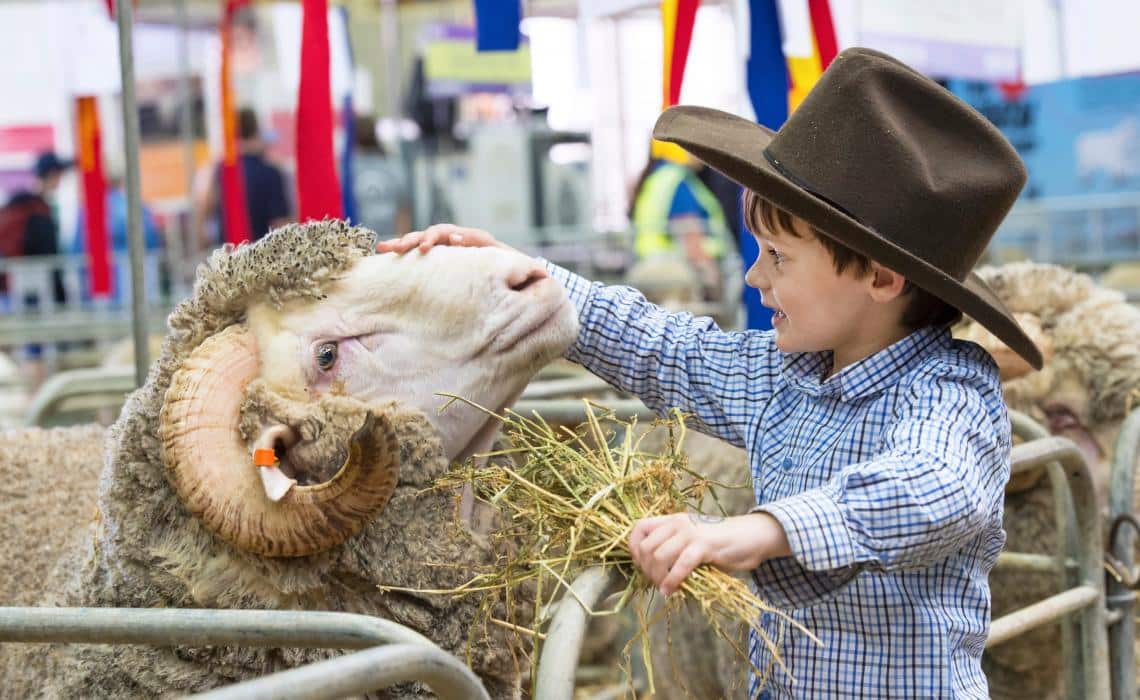 Sydney Royal Easter Show 2018