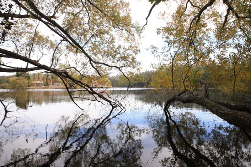 Daylesford Lake 