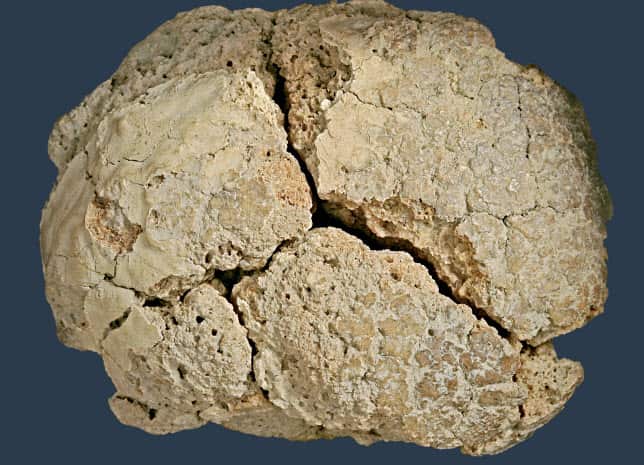 Tain bread from the Museum of Ponisavlje in Pirot