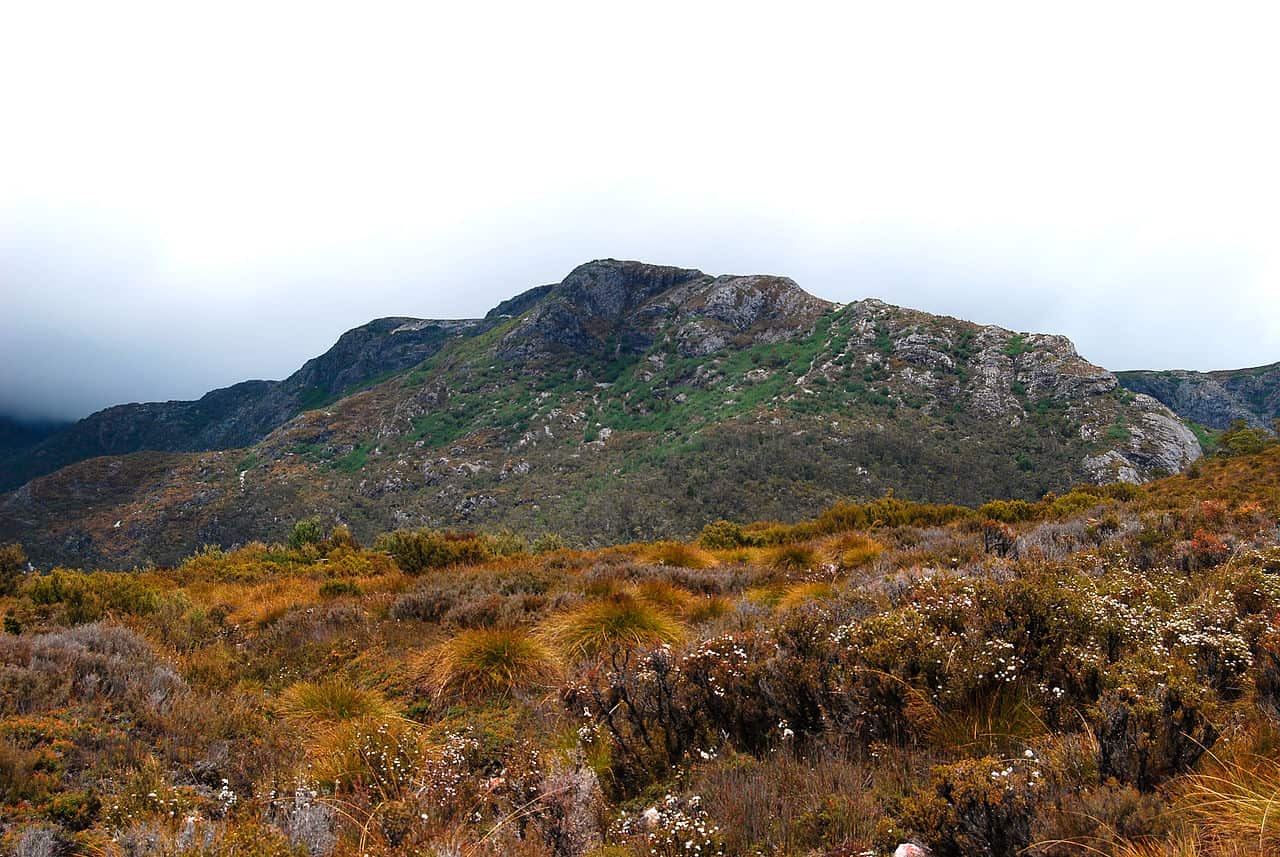 Tasmanian Wilderness