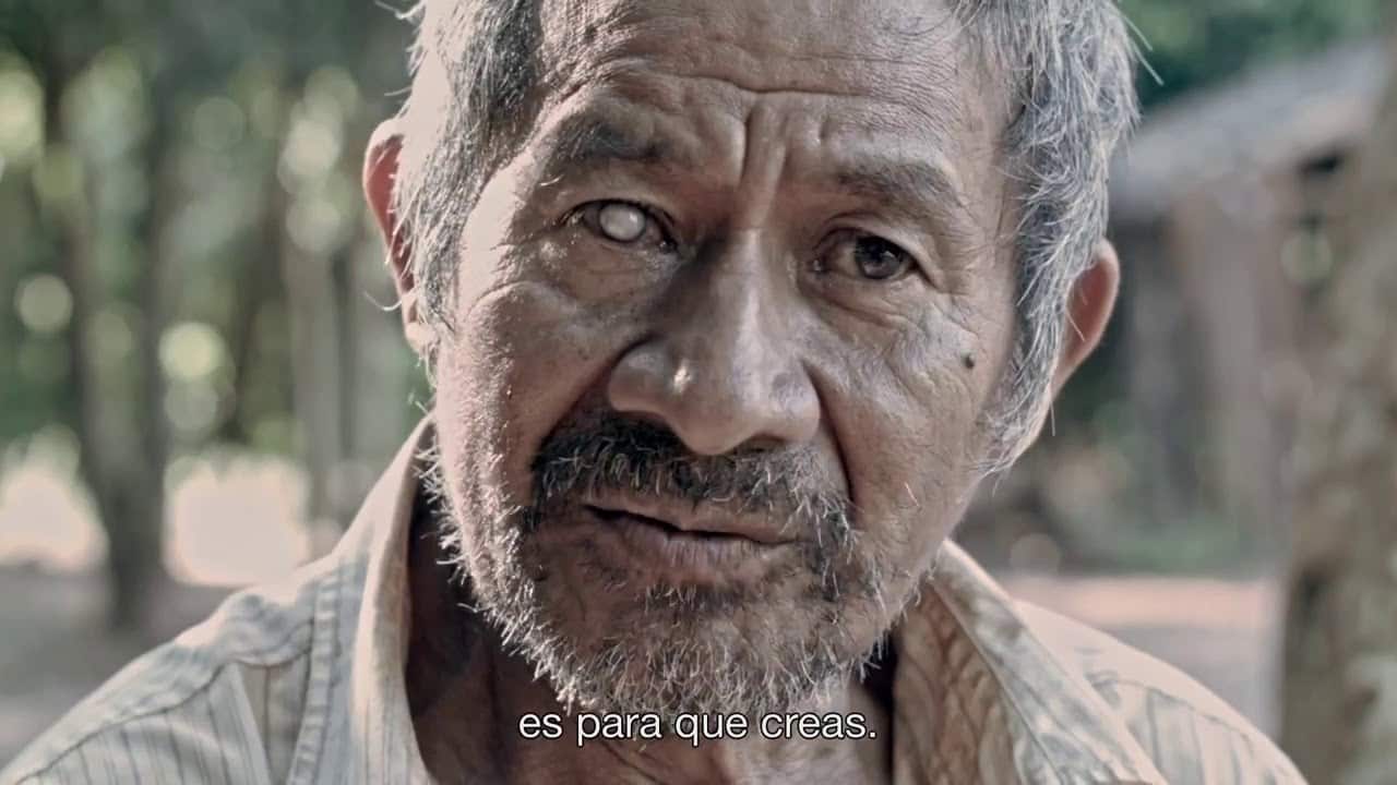 Plutarco, sabio guaraní