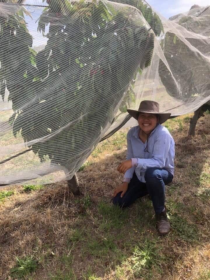 คุณ ไวยเลด พุทธาศรี กับเชอร์รีที่เป็นพันธุ์แคระในสวนของเธอ