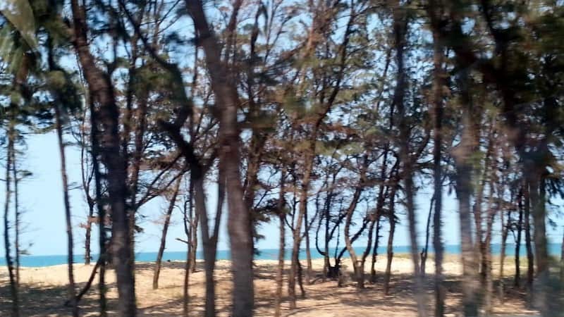 30/4 and your identity