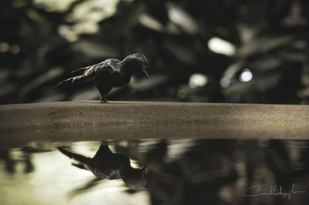 The distance of your heart