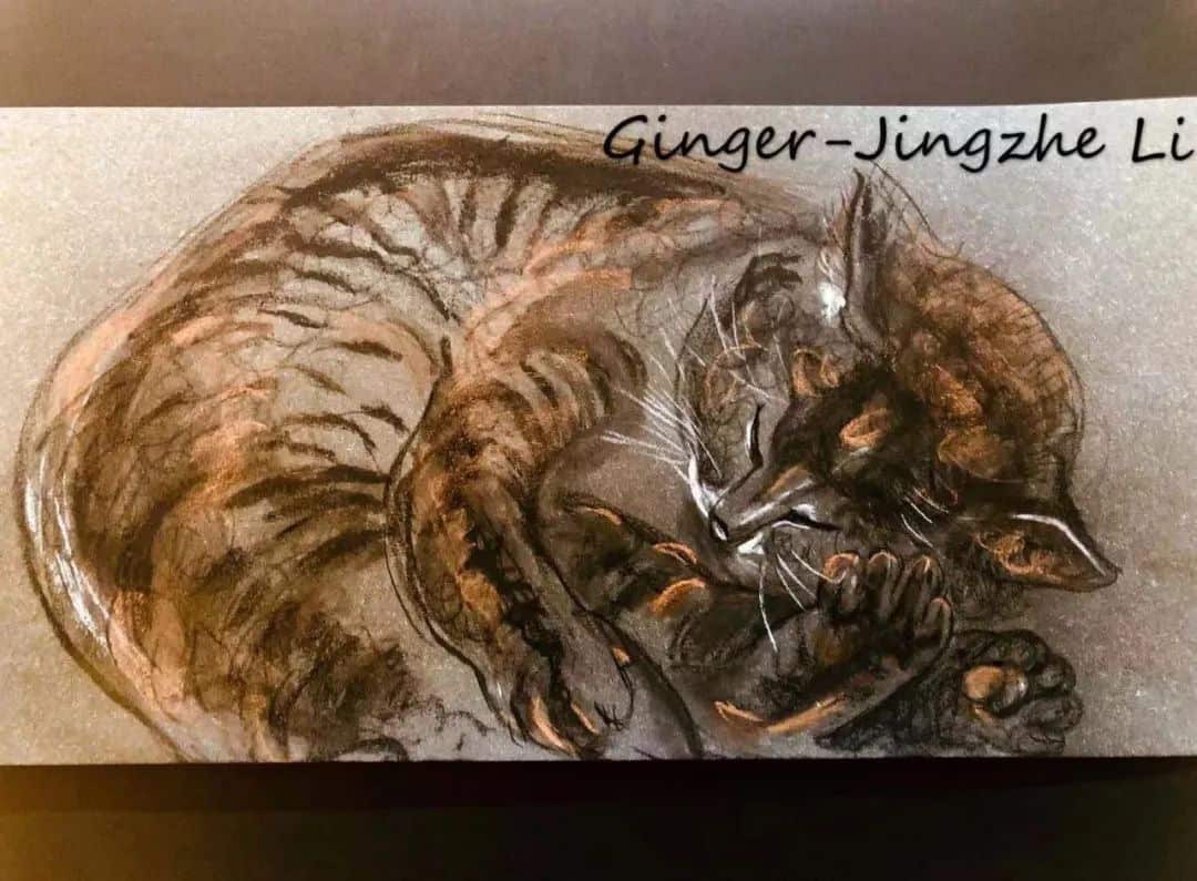 你不来我不醒 李惊蛰