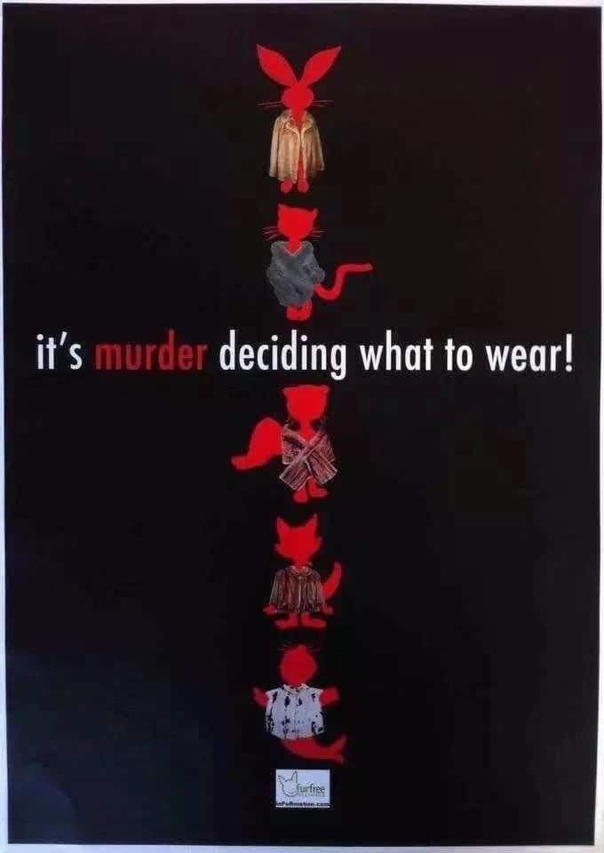 决定穿什么意味着谋杀 李惊蛰