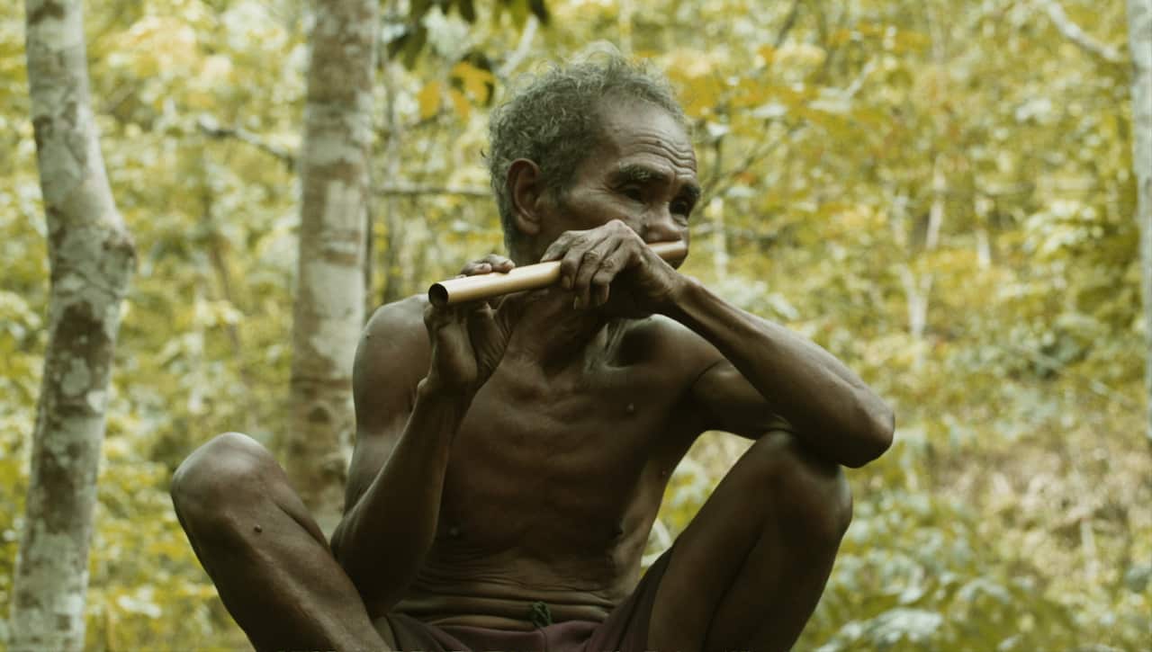 《还有一棵树》