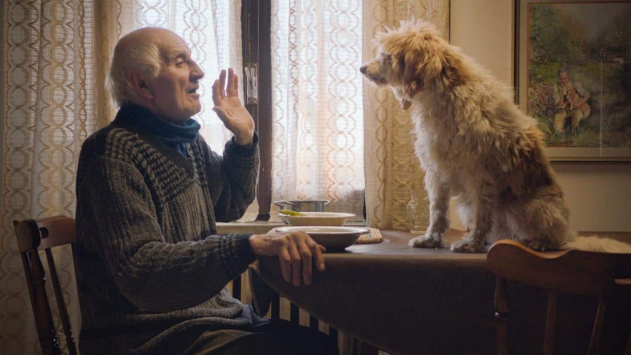 An elderly man looks at his dog who's sitting on the table