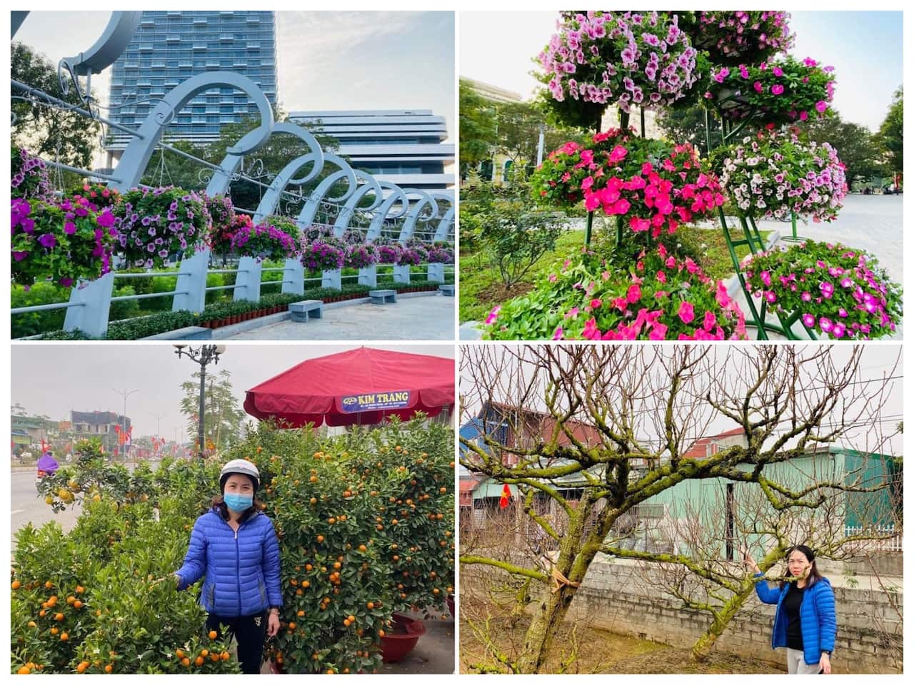 Chị Thu Hằng chia sẻ với SBS không khí Tết từ Hải Phòng.