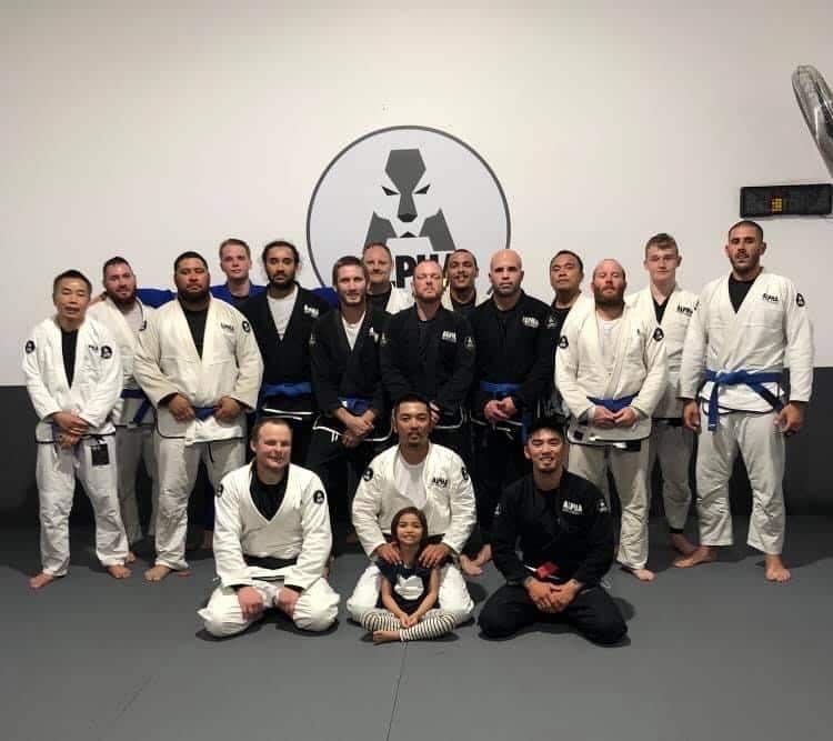 jiu jitsu, martial arts